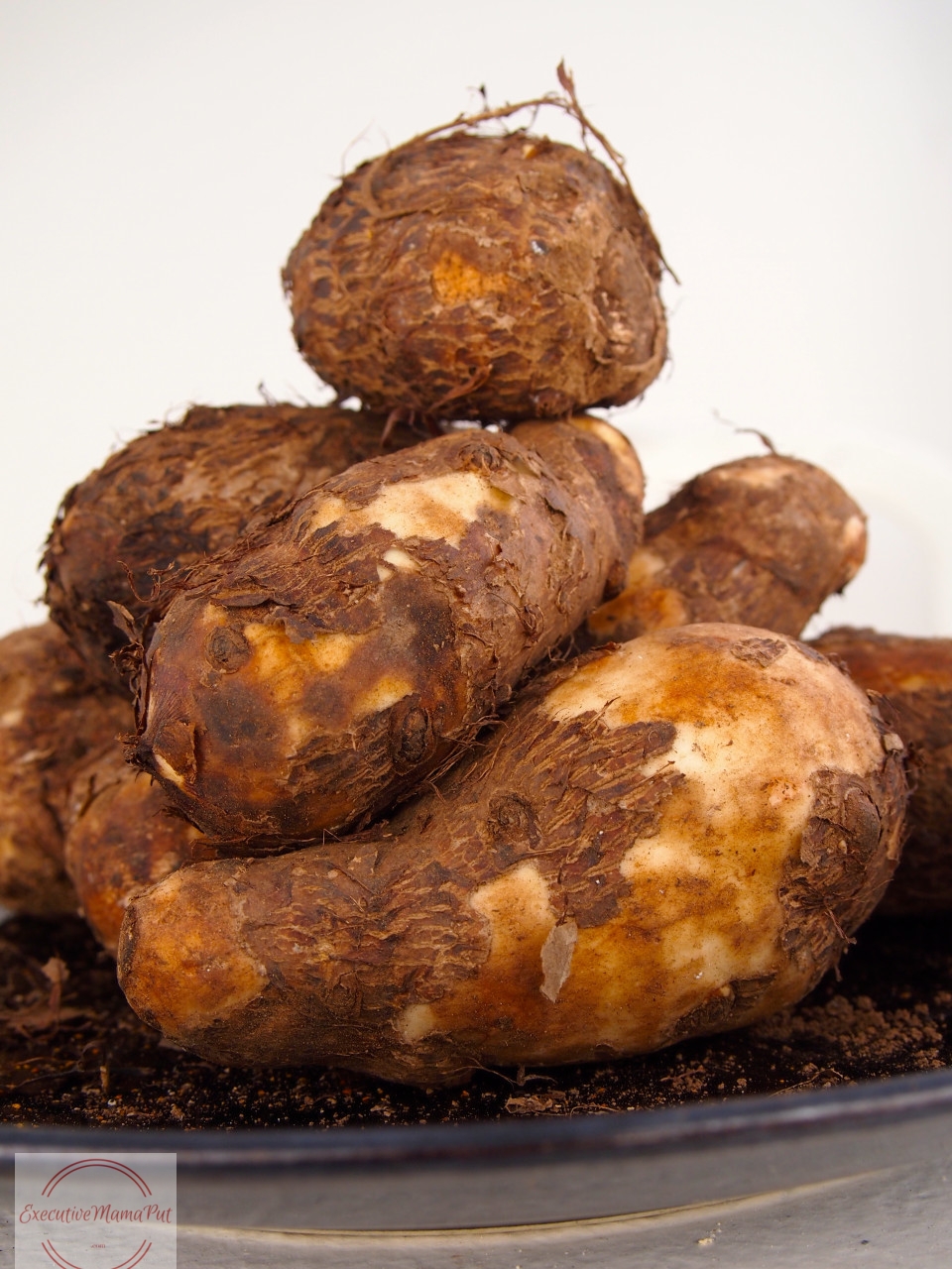 Cocoyam