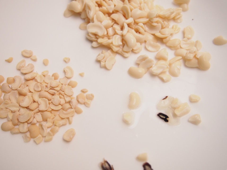 Peeled Beans: Dried (to the left) and soaked (note how they have almost doubled in size)