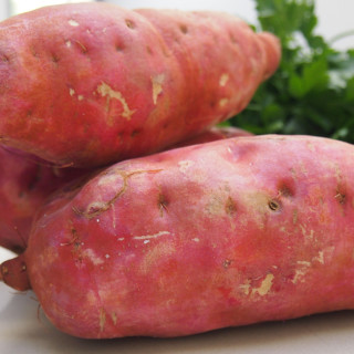 Sweet Potato